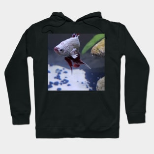 Resting Fish Face Hoodie